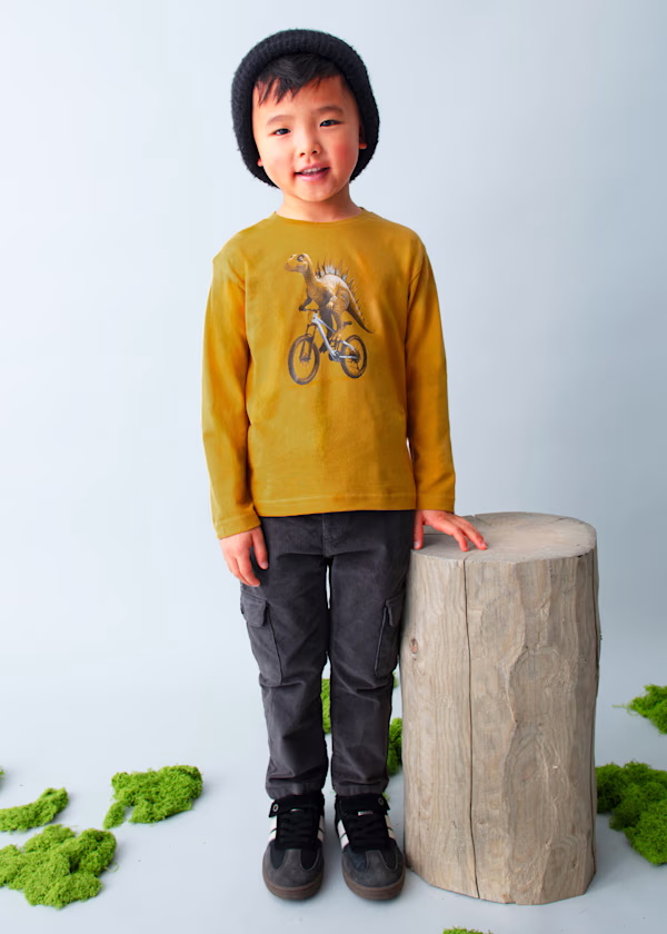 Camiseta m/l "dino"